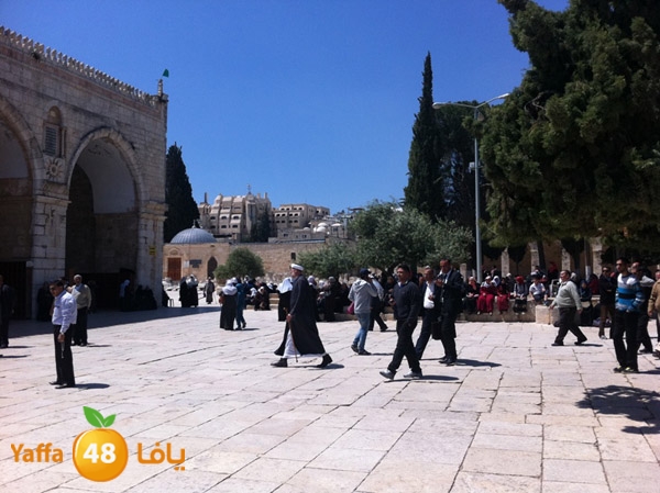 yaffa aqsa 0414 (39).JPG